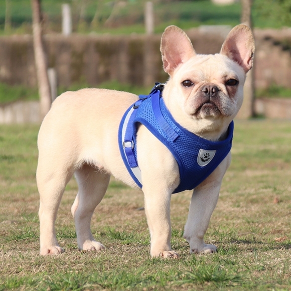 Reflective Harness Pet Vest / Leash Set - LARGE - Picture 2 of 11